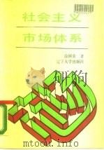 社会主义市场体系   1988  PDF电子版封面  756100379X  俞国荣著 