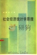 社会经济统计学原理   1985  PDF电子版封面  4212·22  杨曾武主编 