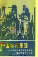 中国城市家庭  五城市家庭调查双变量和三变量资料汇编（1991 PDF版）