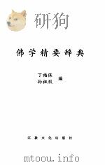 佛学精要辞典（1999 PDF版）