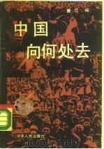 中国向何处去  海内外学者看中国改革   1989  PDF电子版封面  7217006449  章玖编 