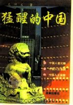 猛醒的中国  关于中国经济的哲学（1992 PDF版）