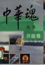 中华魂丛书  开放卷   1992  PDF电子版封面  720901148X  姜春云，孟祥才主编 