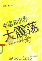 中国知识界大震荡  商海沉浮中的中国知识分子扫描（1993 PDF版）