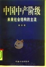 中国中产阶级  未来社会结构的主流   1999  PDF电子版封面  7800587207  秦言著 