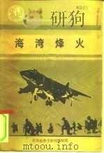 参考材料汇编  1991  1  海湾烽火（1991 PDF版）