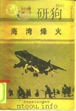 参考材料汇编  1991  1  海湾烽火   1991  PDF电子版封面    张建国主编 