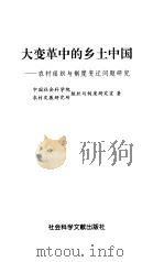 大变革中的乡土中国  农村组织与制度变迁问题研究   1999  PDF电子版封面  7801491041  中国社会科学院农村发展研究所组织与制度研究室著 