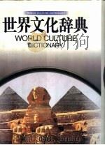 世界文化辞典   1998  PDF电子版封面  7539228741  裘克安，洪永珊主编 
