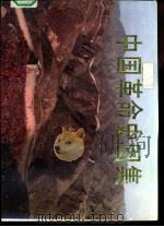 中国革命史图集   1989  PDF电子版封面  7538601406  翁玉荣主编；乔汉仁，刘孟杰，谢小平副主编 