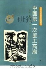 中国第一次罢工高潮   1990  PDF电子版封面  7501107920  金风编写 