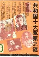 共和国十大冤案之谜   1993  PDF电子版封面  7215030016  黄启亮，袁敏作 