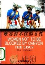 峡谷封不住的女性（1995 PDF版）