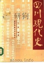 四川现代史   1988.10  PDF电子版封面  7562101140  王斌编著 