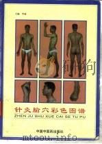 针灸腧穴彩色图谱（1996 PDF版）