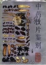中药饮片鉴别  上（1993 PDF版）
