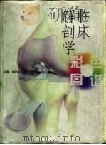 临床解剖学彩色图谱   1998  PDF电子版封面  7530820621  张钟钦，马智主编 