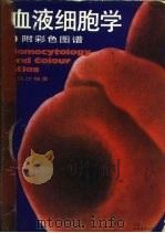 血液细胞学   1980  PDF电子版封面  7530803395  王凤计编著 