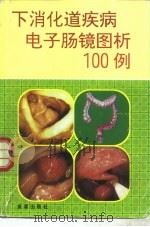 下消化道疾病电子肠镜图析100例（1995 PDF版）