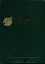 汝阳县志（1995 PDF版）