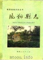 凤翔县志（1991 PDF版）