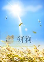 思茅县志     PDF电子版封面     