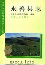 永善县志（1995 PDF版）