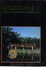 元江哈尼族彝族傣族自治县志（1993 PDF版）