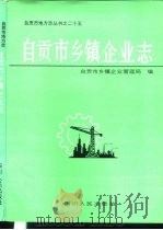 自贡市乡镇企业志   1994  PDF电子版封面  7220025319  自贡市乡镇企业管理局编 