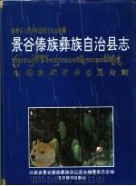 景谷傣族彝族自治县志（1993 PDF版）