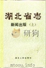 湖北省志  新闻出版  上（1993 PDF版）