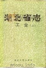 湖北省志  工业  上（1995 PDF版）