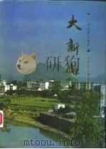 大新县志（1989 PDF版）