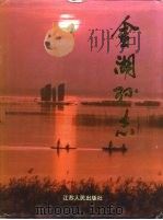 金湖县志   1994  PDF电子版封面  7214012502  吴振宝主编 