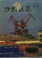 沙洲县志   1992  PDF电子版封面  7214008971  张家港市地方志编纂委员会办公室编 