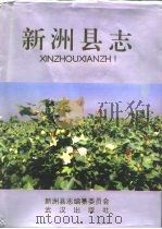 新洲县志（1992 PDF版）