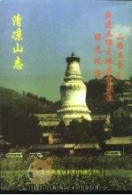 清凉山志   1998  PDF电子版封面    （明）释镇澄撰 