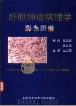 肝胆肿瘤病理学彩色图谱   1998  PDF电子版封面  7543912449  丛文铭主编 