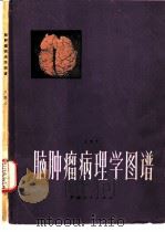 脑肿瘤病理学图谱（1982 PDF版）