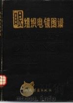 眼组织电镜图谱   1988  PDF电子版封面  7800200833  宋琛等主编 