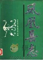 凤凰县志（1988 PDF版）