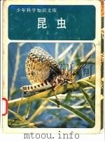 昆虫   1980  PDF电子版封面    中国科学普及出版社，美国时代--生活丛书出版社改编 