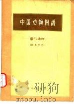 中国动物图谱  环节动物   1959  PDF电子版封面  13031·1164  陈义等编 