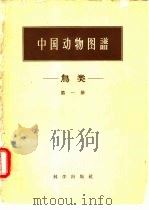 中国动物图谱  鸟类  第1册   1959  PDF电子版封面  13031·1067  郑作新，寿振黄等著 