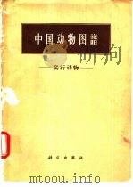 中国动物图谱  爬行动物   1962  PDF电子版封面  13031.1571  胡淑琴，胡步青等编著 