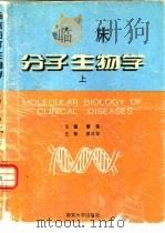 临床分子生物学  上   1995  PDF电子版封面  7305029041  谢维主编 