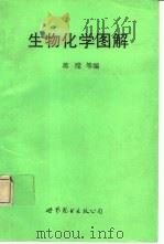 生物化学图解   1993  PDF电子版封面  7506215985  蒋滢等编 