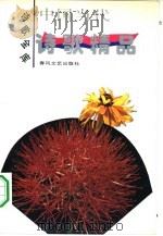 中国当代诗歌精品（1994 PDF版）