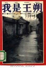 我是王朔  经历、创作谈、论爱情、作品片段、评论（1992.06 PDF版）