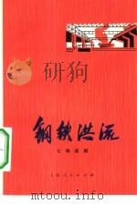 钢铁洪流  七场话剧   1975  PDF电子版封面  10171·395  上海儿童艺术剧院创作 